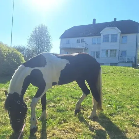 Privat Pa Gard Med Badstue Og Nordlys * Narvik