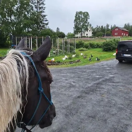 Privat Pa Gard Med Badstue Og Nordlys * Narvik