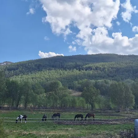 Privat Pa Gard Med Badstue Og Nordlys Apartment