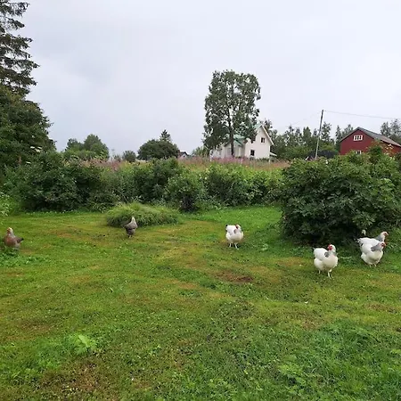 Apartment Privat Pa Gard Med Badstue Og Nordlys *