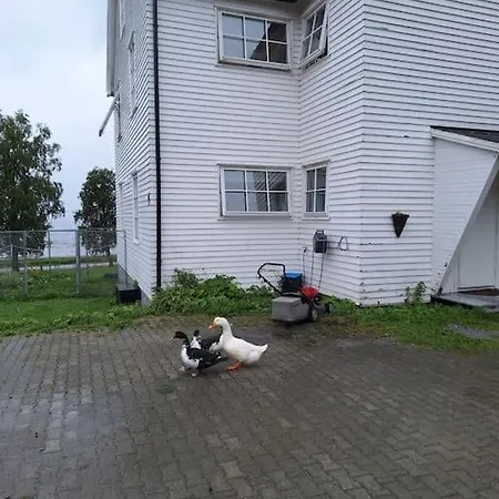 Apartman With Free Sauna And Northern Light *