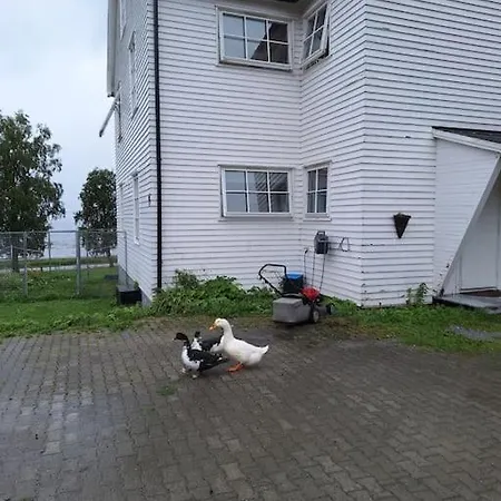 Apartment Privat Pa Gard Med Badstue Og Nordlys *