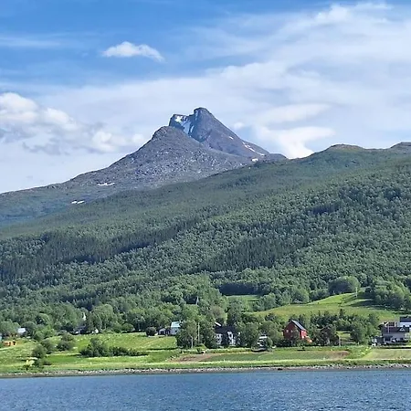 Apartment Privat Pa Gard Med Badstue Og Nordlys