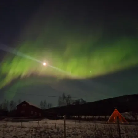 Lägenhet With Free Sauna And Northern Light Narvik