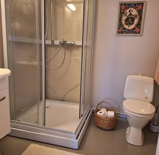 With Free Sauna And Northern Light