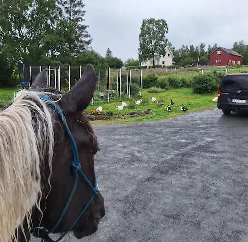 With Free Sauna And Northern Light * Narvik