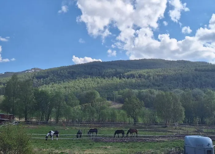 With Free Sauna And Northern Light Lägenhet