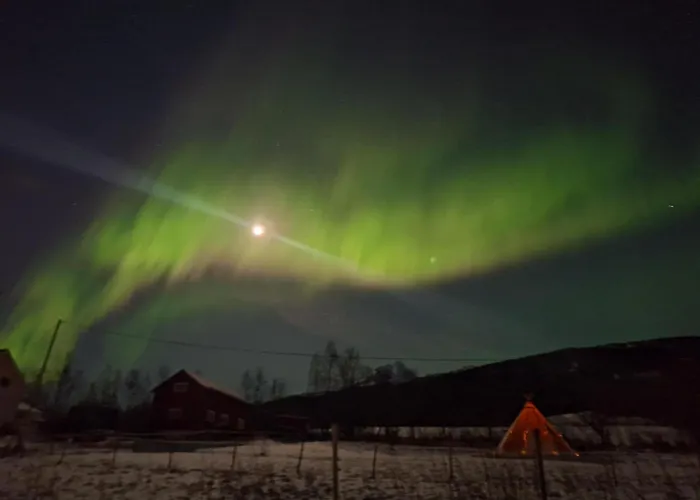 Lägenhet With Free Sauna And Northern Light Narvik