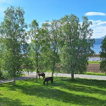 Privat Pa Gard Med Badstue Og Nordlys Διαμέρισμα Νάρβικ